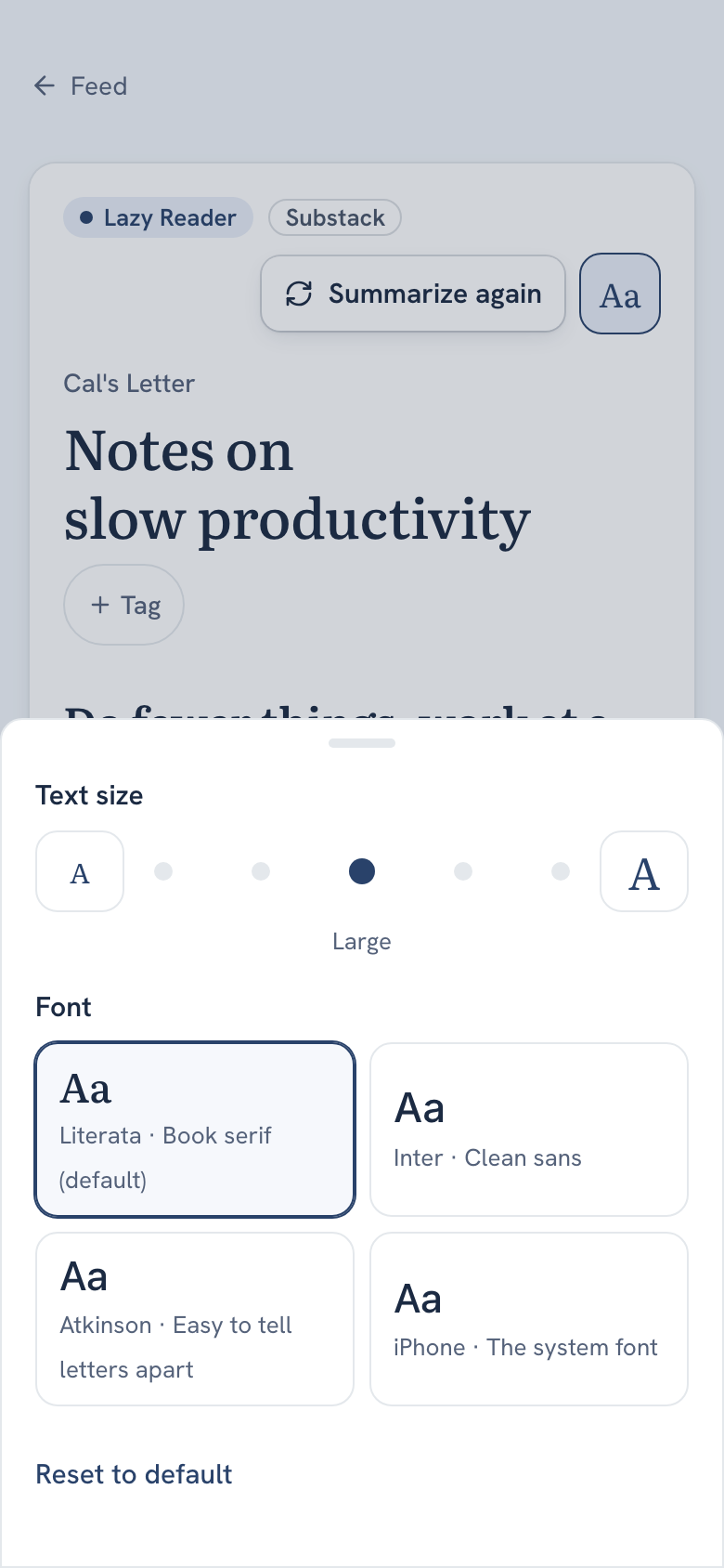The Aa sheet on a phone with the Text size row on Large and the four font choices, Literata selected